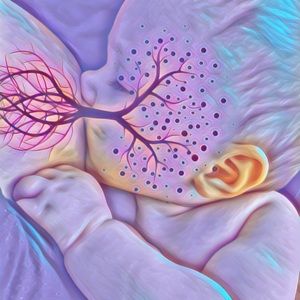 Meet your Posher, Lena